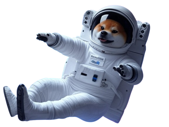 AstroShib in Space